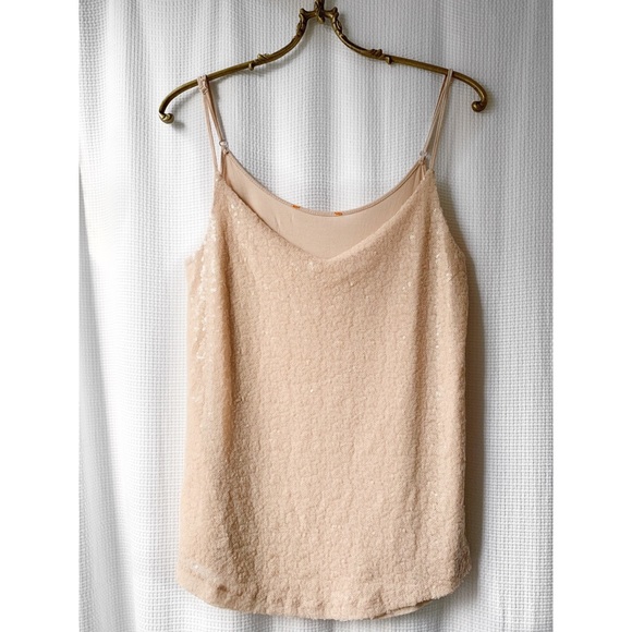 πΈ2/$30 Blush pink sequin tank top